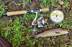 7ft Okuma Celilo 6-12lb Finesse Spin Rod - 2 Piece Graphite Spinning Fishing Rod -Fishing Shop CE S 702ML 1 99749e4a 8e14 4428 a642 2a5c3f5031d3