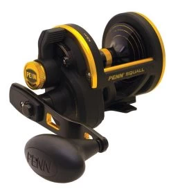 PENN Squall 40LDLH Lever Drag Overhead Fishing Reel - Left Handed 5 PENN Squall 40LDLH Lever Drag Overhead Fishing Reel - Left Handed -Fishing Shop Squall 40LDLH c25773b8 a70c 451c bd5e a00ca9b38d94